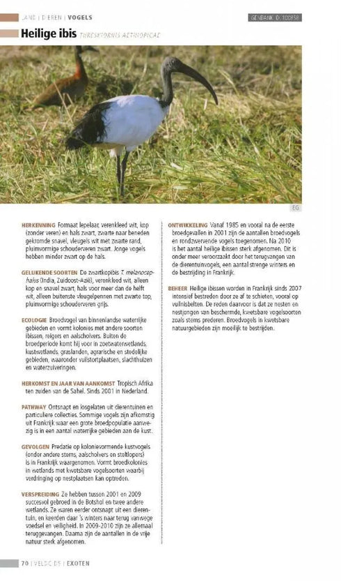 Veldgids Exoten -  Leewis,R. ym 2013